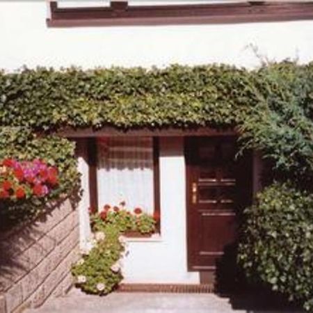Ferienwohnung Ribnitz Most 901 Zewnętrze zdjęcie